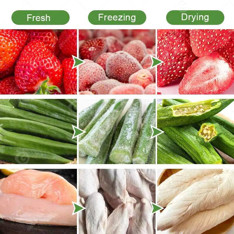 เครื่องอบแห้งขนาดเล็กแบบแช่แข็ - Dried Fruit บทวิจารณ์และราคา